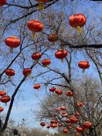 JINGSHAN PARK วิวหลักล้าน ควรค่าแก่การมา ✨🌸