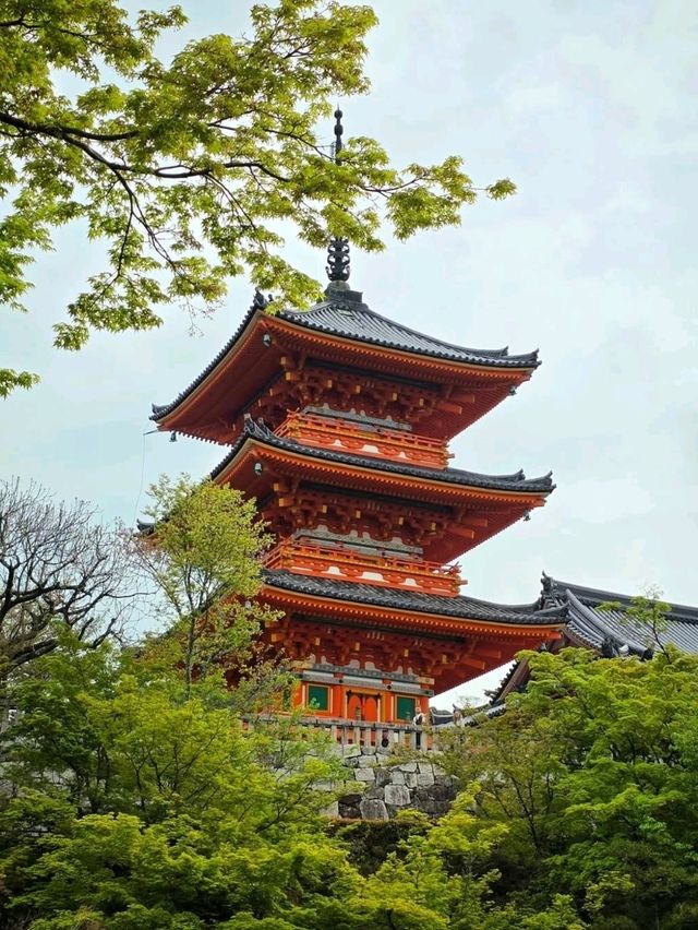 Kyoto’s Iconic Temple