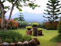 The peak flower land