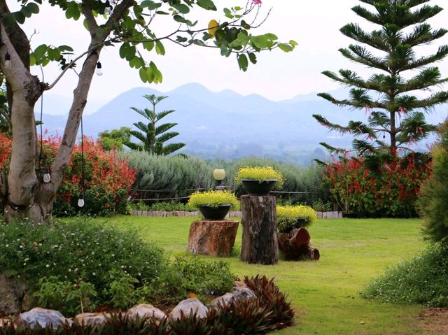 The peak flower land