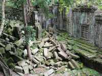 【Beng Mealea｜ベンメリア】 崩れかけたままが美しい。“ラピュタ感”全開の幻の遺跡