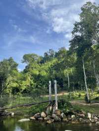 นอนข้างน้ำตก