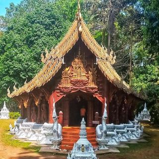 Visit a serene temple nestled in the forest
