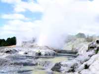 #波胡圖間歇噴泉Pohutu Geyser -紐西蘭羅託魯瓦