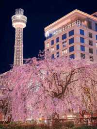 Yokohama – Japan’s Vibrant Port City with a Global Heart