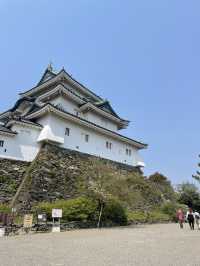 Weekend in Wakayama, Japan 