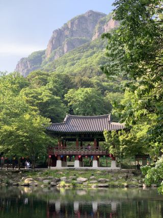 Experience the tranquility of Baekyangsa Temple near Gwangju