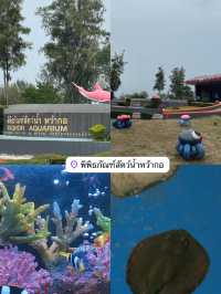 พิพิธภัณฑ์สัตว์น้ำหว้ากอ ประจวบคีรีขันธ์