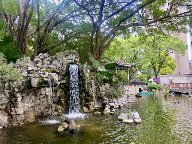 德華公園深度遊🌟 鬧市中的後花園🌷⛲️