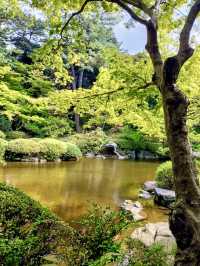 A Day of Art & Blossoms in Meguro – Garden Views & Golden Moments