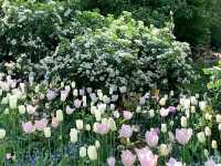 Pashley Manor Gardens – A Timeless English Country Garden
