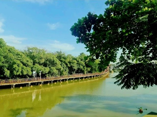 คาเฟ่ Rayong-Riverside เบลลินี่ ระยอง ริเวอร์ไซด์