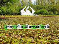แวะชม อุทยานบัวเฉลิมพระเกียรติ สกลนคร