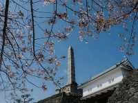 Maizuru Castle Park – A Serene Historical Escape in Kofu
