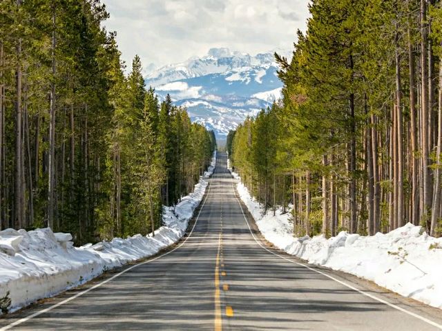 Into the Wild: Hiking the Fairy Falls Trail at Yellowstone