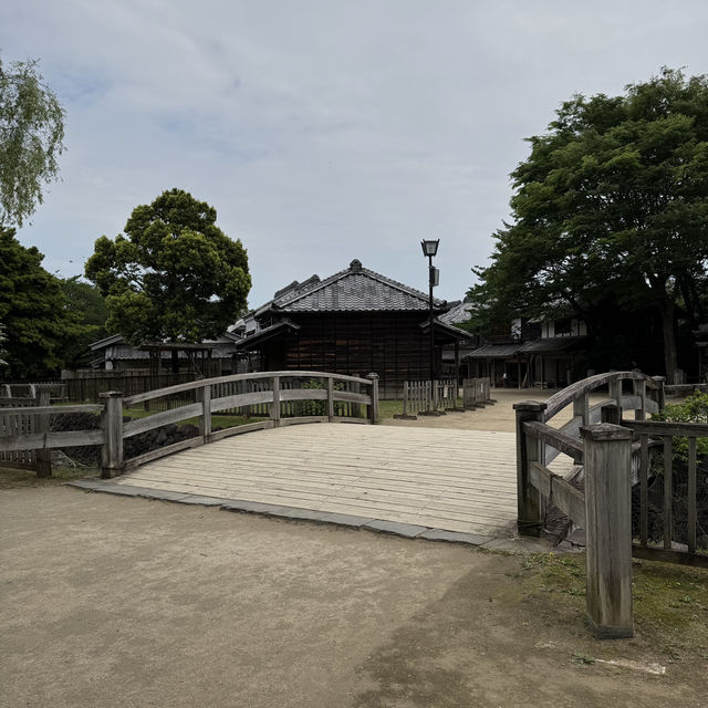 まるで昭和の世界？様々な体験もできる広大な土地
