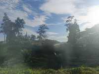 The Most Beautiful Road in Johor — Gunung Ledang Awaits