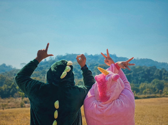 ทุ่งสะวันนาใกล้บ้าน —-> ทุ่งกะมัง 