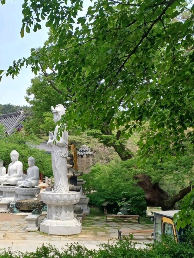 자연과 전통이 어우러진 동화사 여행