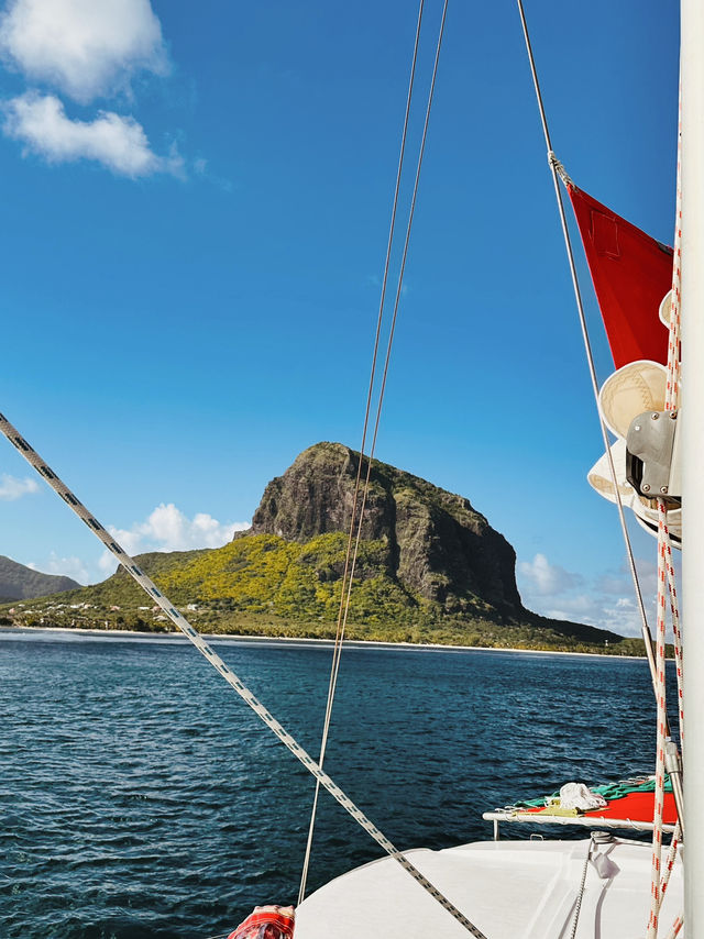 Unforgettable Boat Day in Le Morne: Dolphins, Snorkelling & Barbecue at Crystal Rock