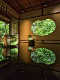 【雨でも楽しめる室内絶景】「水鏡」の絶景に息をのむ🌿💧✨※周辺観光情報付