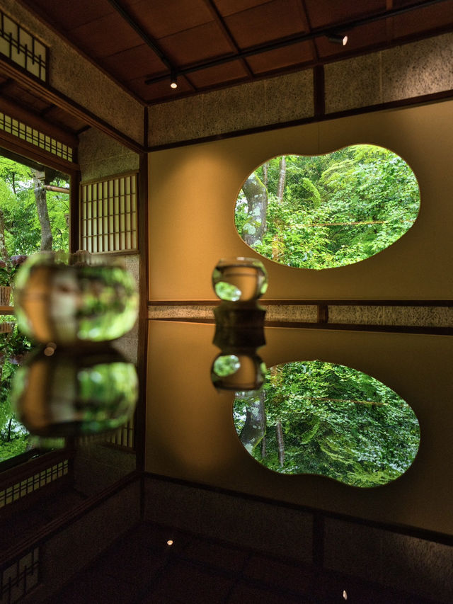 【雨でも楽しめる室内絶景】「水鏡」の絶景に息をのむ🌿💧✨※周辺観光情報付