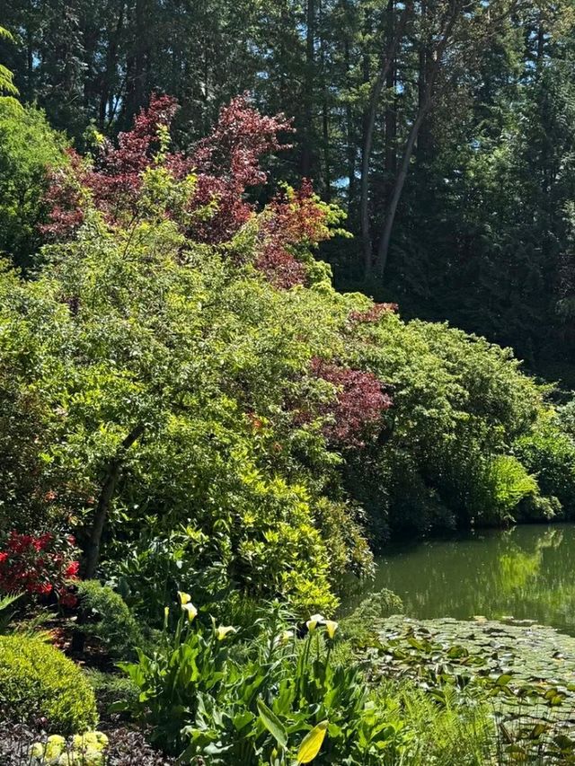 Butchart Gardens – A Floral Wonderland in British Columbia