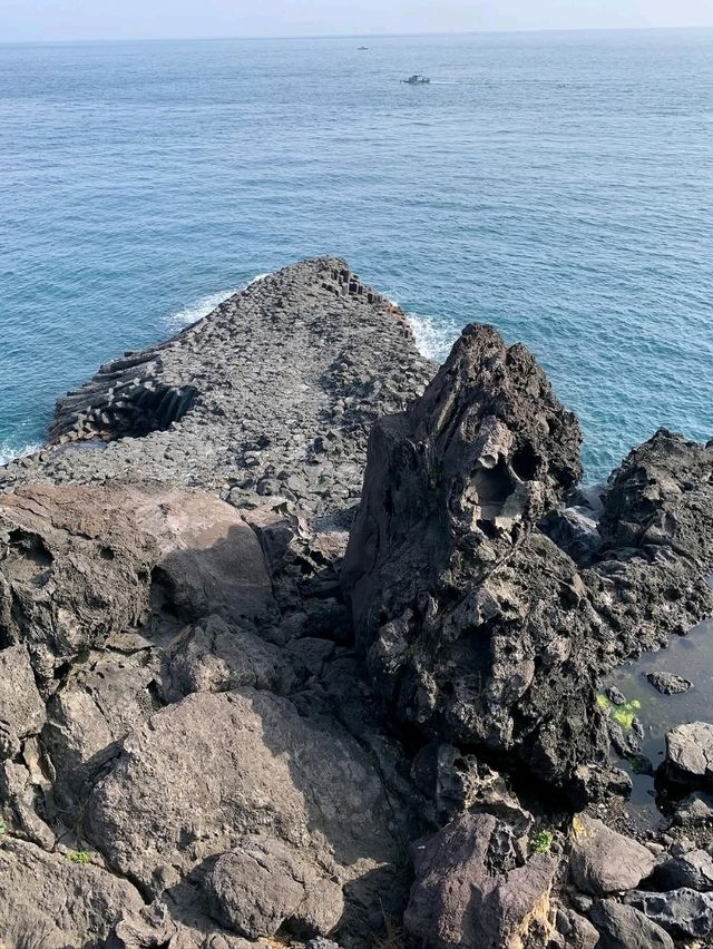 Nature’s Geometric Flex by the Sea