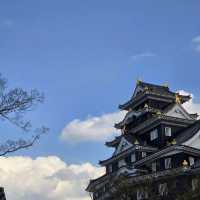 岡山城に行ってきました‼️