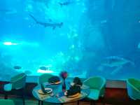 Deep Sea Cafeteria