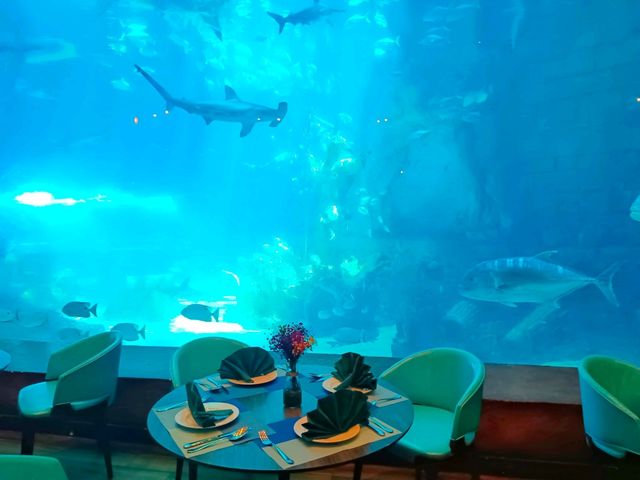 Deep Sea Cafeteria