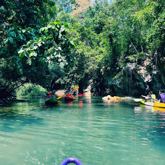 #พายเรือคายัค #ชมธรรมชาติ #น้ำผุดธรรมชาติเขาใหญ่💦
