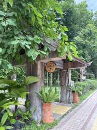 📍arboretum bliss คาเฟ่ฟีลเดินป่าแต่อยู่ในเมือง