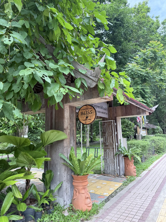 📍arboretum bliss คาเฟ่ฟีลเดินป่าแต่อยู่ในเมือง