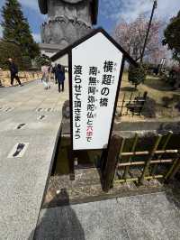 🌸【佛光與櫻影的交會】牛久大佛春日巡禮—一場身心靈共鳴的靜心旅行