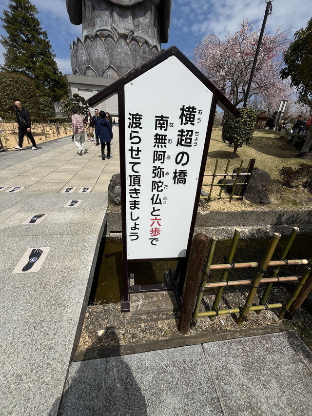 🌸【佛光與櫻影的交會】牛久大佛春日巡禮—一場身心靈共鳴的靜心旅行