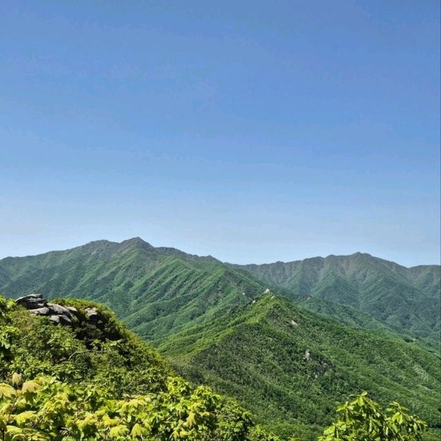 Small Mountain, Big Feels