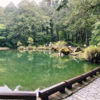 🌿阿里山姊妹潭｜靜謐如詩的山林秘境