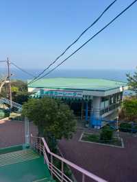 【須磨浦山上遊園で楽しむ藤の花と絶景🌸✨】