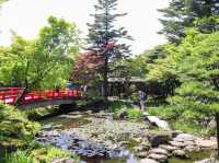 【島根県】 山陰最大級の池泉回遊式日本庭園『由志園』