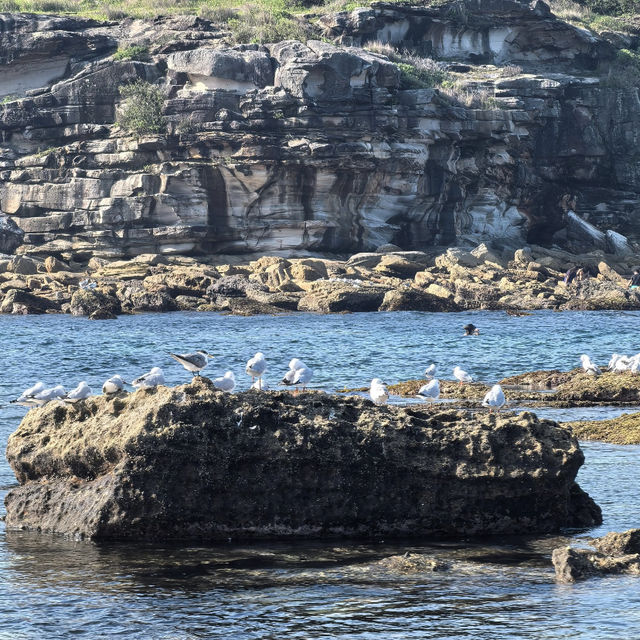 Sydney | Little Bay Beach 🏖️💙