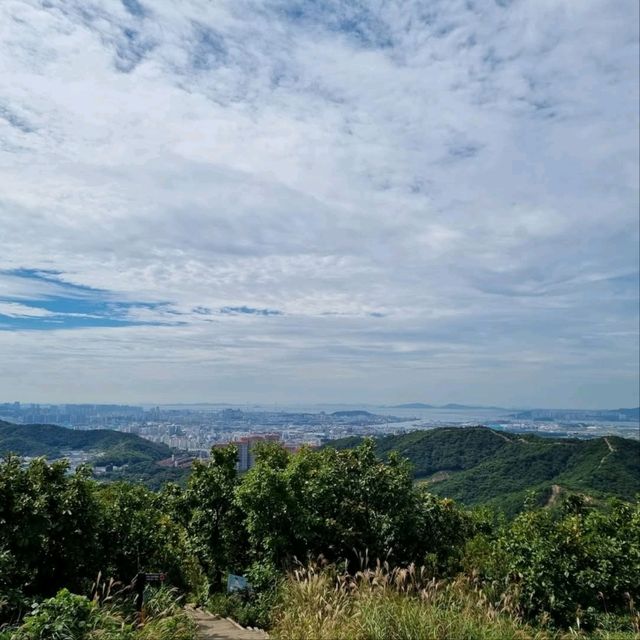 A Little Pain, A Lotta View