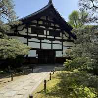 Half Day in Fukuoka: Hakata walk