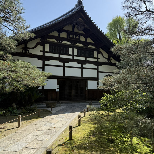 Half Day in Fukuoka: Hakata walk