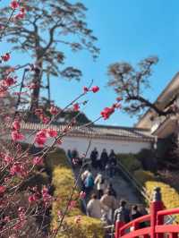 【神奈川】小田原大人のゆる旅🏯