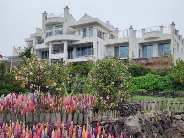 제주도 정원 카페 마노르 블랑