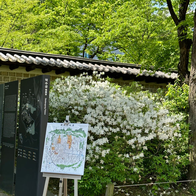 🇰🇷 Deoksugung Palace — A Tranquil Escape Near Myeongdong! 🌸🏯
