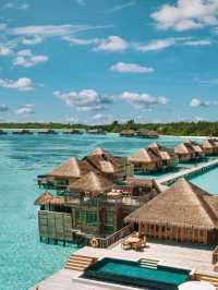 🌊 Gili Lankanfushi Maldives: Where Shoes Are Off and Magic Is On 💫👣