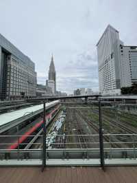 เดินทางเข้าโตเกียว(ชินจูกุ) โดยNarita Express N’EX
