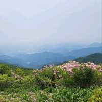 Yeonhwabong Peak Hits Just Right